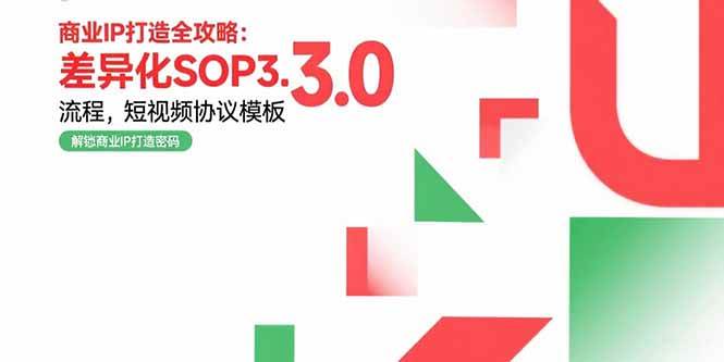 (15486期)商业IP打造全攻略:差异化SOP3.0流程,短视频协议模板,婚恋项目实战案例-云网创