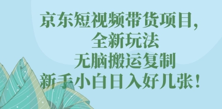 京东短视频带货项目,全新玩法,无脑搬运复制,新手小白日入好几张!-云网创