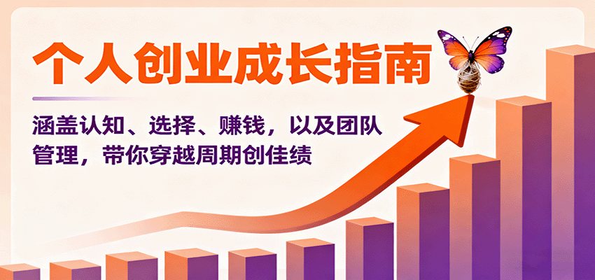 个人创业成长指南:涵盖认知、选择、赚钱,以及团队管理,带你穿越周期创佳绩-云网创
