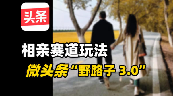 微头条“野路子3.0”相亲赛道玩法，搬砖式操作单号稳定3张-云网创