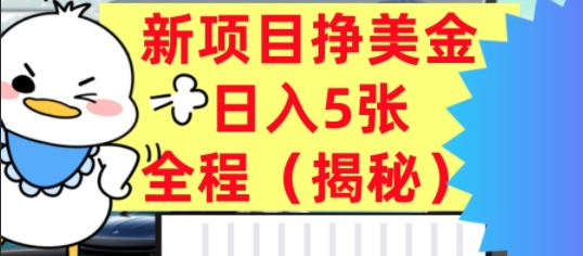 最新挣美金项目，日入5张，全程揭秘，小白也能轻松入手，长久被动收入-云网创