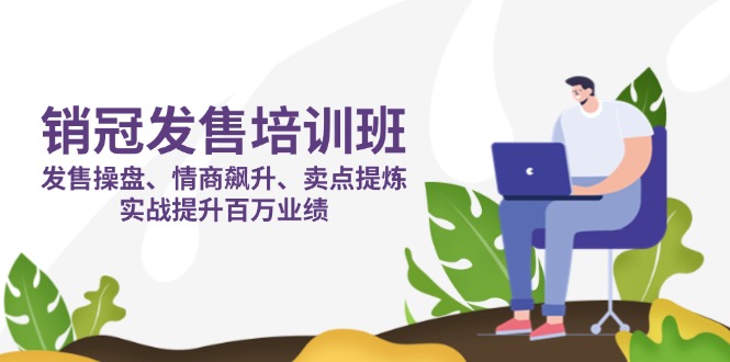 (14203期)销冠 发售培训班:发售 操盘+情商 飙升+卖点 提炼,实战提升百万业绩-云网创