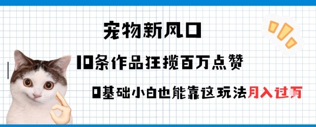 宠物粉暴利新风口0基础小白也能靠这套玩法月入过W-云网创