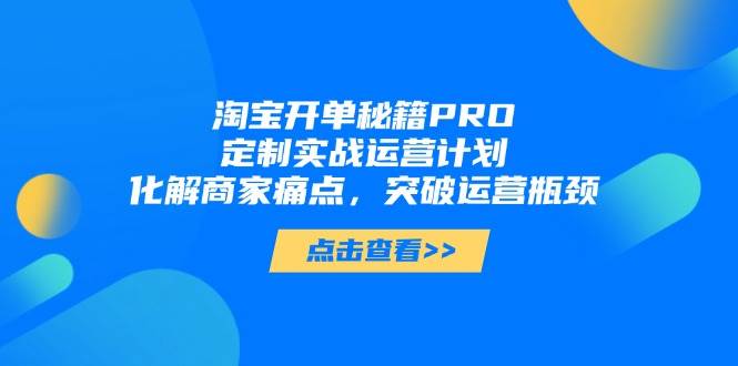 (14642期)淘宝开单秘籍PRO,定制实战运营计划,化解商家痛点,突破运营瓶颈-云网创