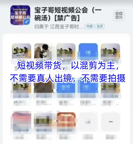 宝子哥头部团队短视频带货,以混剪为主,不需要真人出镜,不需要拍摄【更新9月】-云网创