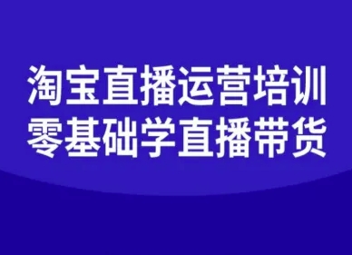 淘宝直播运营培训-零基础学会直播卖货-云网创