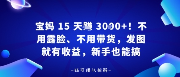 宝妈15天賺3k+!不用露脸、不用带货,发图就有收益,新手也能搞-云网创