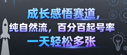 成长感悟赛道,纯自然流,百分百起号率 一天轻松多张-云网创