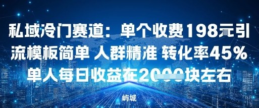 私域冷门赛道:单个收费198米引流模板简单人群精准转化率45%单人每日收益在1k+-云网创