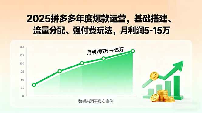 (15973期)2025拼多多年度爆款运营,基础搭建、流量分配、强付费玩法,月利润5-15万-云网创
