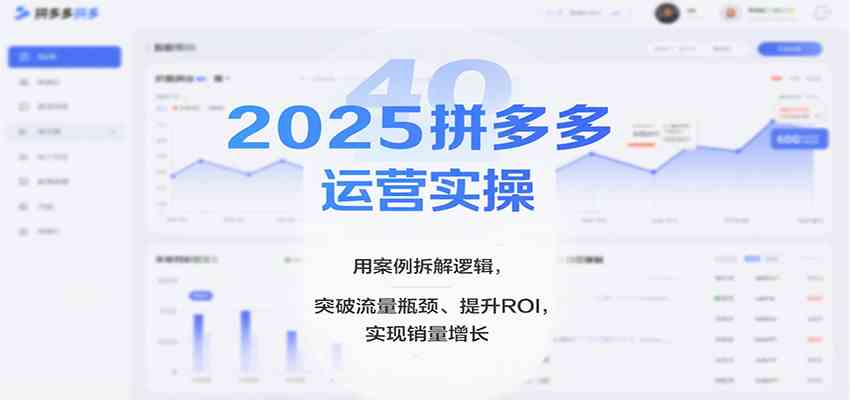 2025拼多多运营实操,用案例拆解逻辑,突破流量瓶颈、提升ROI,实现销量增长-云网创