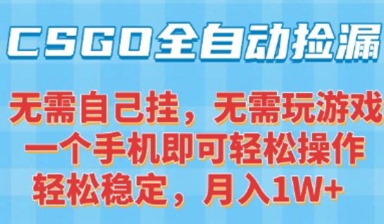 CSGO自动捡漏项目，最新独家玩法，一个手机可操作，新手小白轻松月入1W+，操作简单易上手【揭秘】-云网创