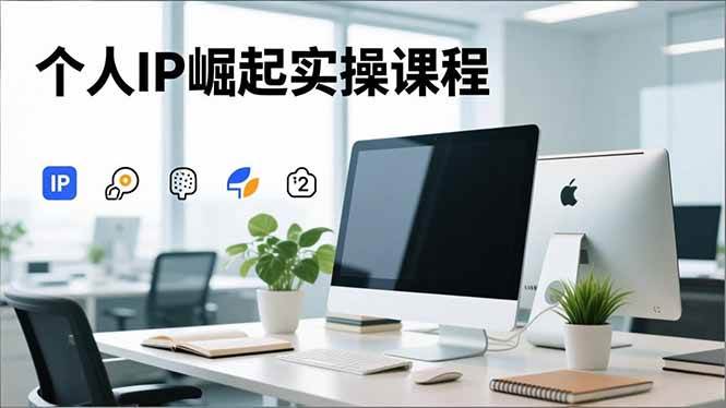 （16616期）个人IP崛起实操课程，IP思维塑造+赛道精准调研+账号高变现搭建+内容创作-云网创
