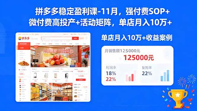 （16473期）拼多多稳定盈利课-11月，强付费SOP+微付费高投产+活动矩阵，单店月入10万+-云网创