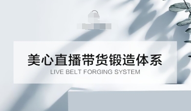 直播带货锻造体系课,5G时代美心一站式帮你开启直播带货之路【音频】-云网创
