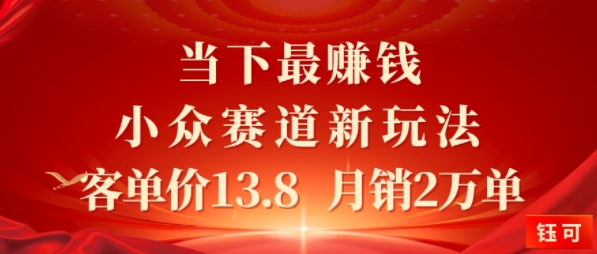 当下最挣钱的小众赛道 小红书新玩法10个作品涨粉3W，客单价13.8 月销2W单-云网创