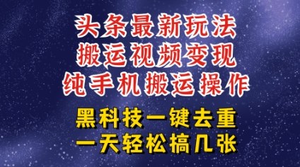 今日头条纯搬运玩法，轻松过原创不违规，轻松日入三位数，稳的很-云网创