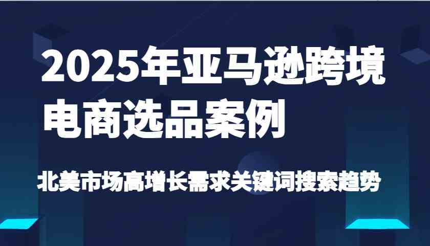 2025年亚马逊跨境电商选品案例-北美市场高增长需求关键词搜索趋势（更新)-云网创