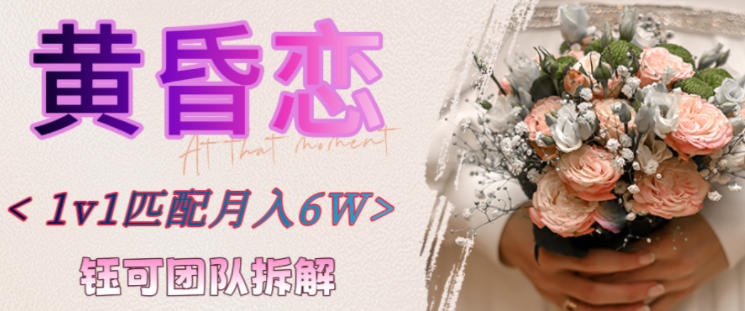 副业拆解:黄昏恋1对1匹配月入6个,潜力巨大-云网创