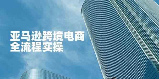 亚马逊跨境电商全流程实操,教你从零开始,掌握店铺运营与广告技巧-云网创