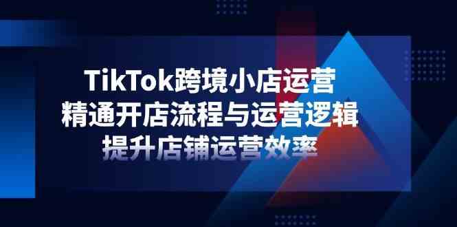 TikTok跨境小店运营,精通开店流程与运营逻辑,提升店铺运营效率-云网创
