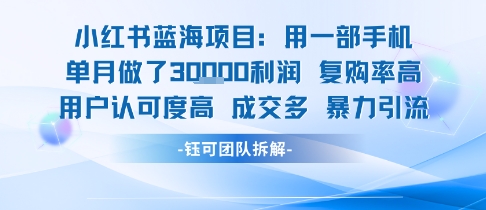 小红书蓝海项目,一部手机单月做了3W利润,小白也能月入过1W用户认可度高成交多-云网创