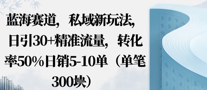 蓝海赛道,私域新玩法,日引30+精准流量,转化率50%日销5-10单(单笔3张)-云网创