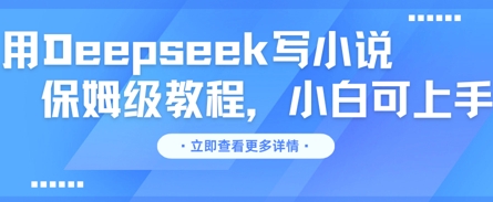 用Deepseek写小说,保姆级教程,小白可实操-云网创