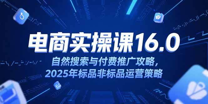 (15262期)淘宝电商运营课16.0,自然搜索与付费推广攻略,2025年标品非标品运营策略-云网创