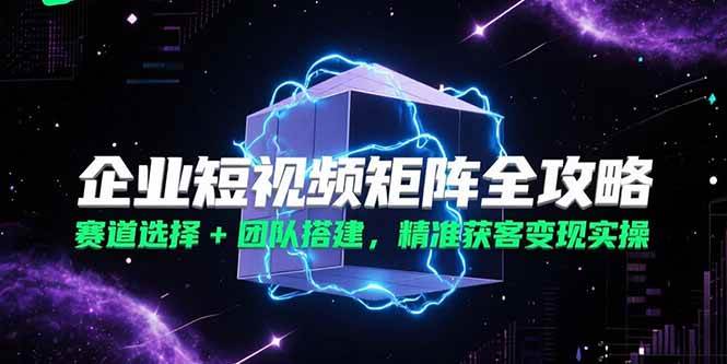 (15242期)企业短视频矩阵全攻略,赛道选择+团队搭建,精准获客变现实操-云网创