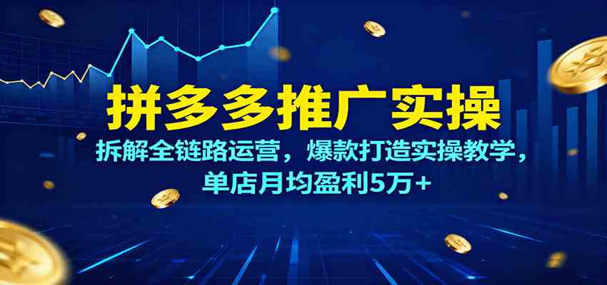 拼多多推广实操,拆解全链路运营,爆款打造实操教学,单店月均盈利5万+-云网创