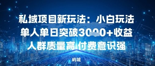 私域项目新玩法:小白玩法单人单日突破1k收益人群质量高付费意识强-云网创