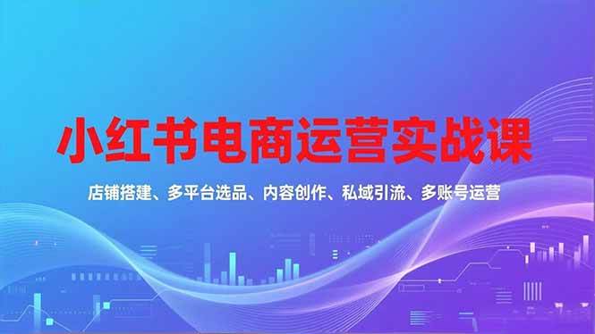 （16695期）小红书电商运营实战课，店铺搭建、多平台选品、内容创作、私域引流、多账号运营等玩法-云网创