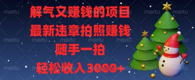 解气又挣钱的项目,最新违章拍照挣钱,随手一拍,轻松收入数张【揭秘】-云网创
